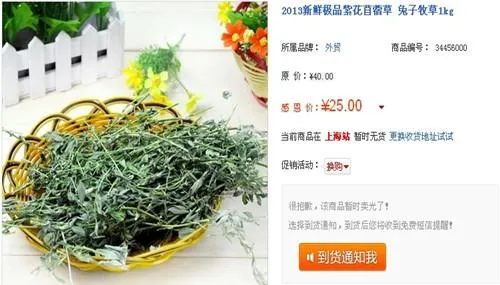 多喂青饲料，兔兔腹泻少 | 宠物喂养知识