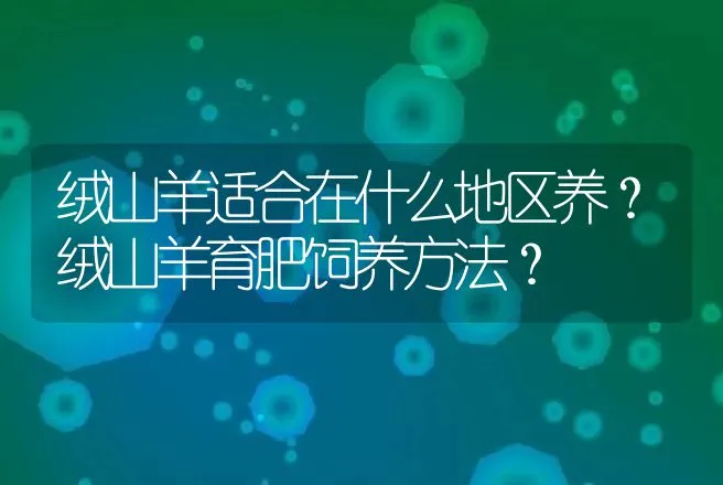 绒山羊适合在什么地区养？绒山羊育肥饲养方法？ | 家畜养殖