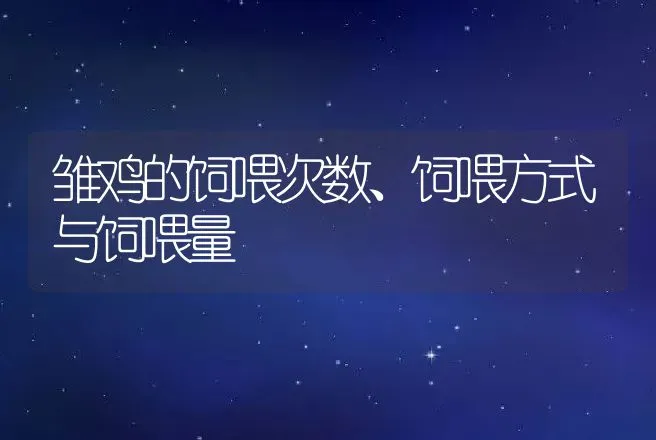 雏鸡的饲喂次数、饲喂方式与饲喂量 | 动物养殖