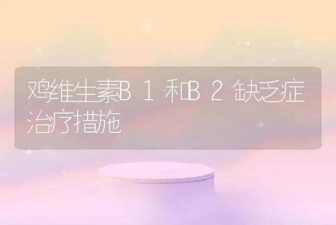 鸡维生素B1和B2缺乏症治疗措施 | 动物养殖