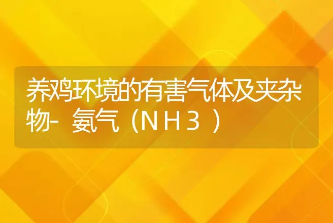 养鸡环境的有害气体及夹杂物-氨气（NH3） | 动物养殖