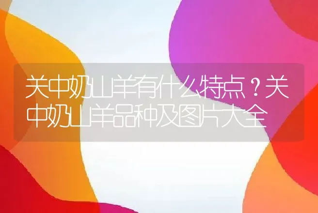 关中奶山羊有什么特点？关中奶山羊品种及图片大全 | 动物养殖