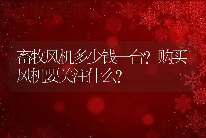 畜牧风机多少钱一台？购买风机要关注什么？ | 动物养殖