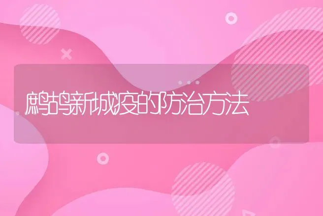 鹧鸪新城疫的防治方法 | 动物养殖