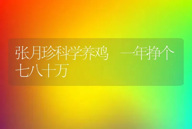 张月珍科学养鸡 一年挣个七八十万 | 养殖致富