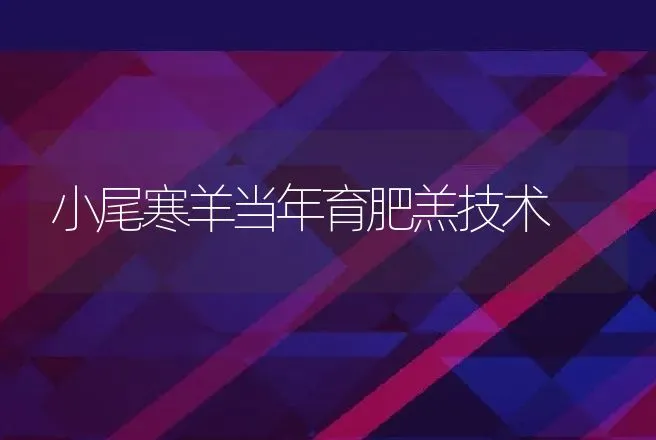 小尾寒羊当年育肥羔技术 | 动物养殖