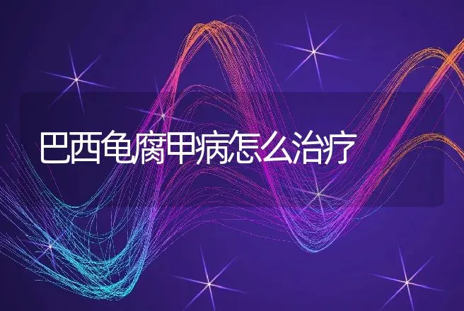 巴西龟腐甲病怎么治疗 | 兽医知识大全