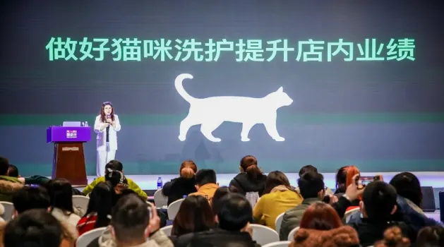 解析猫咪低压洗护流程 | 宠物行业洞察