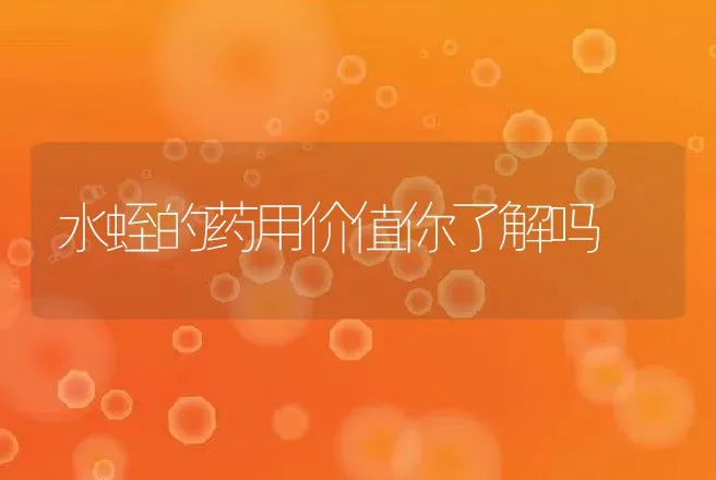 水蛭的药用价值你了解吗 | 动物养殖