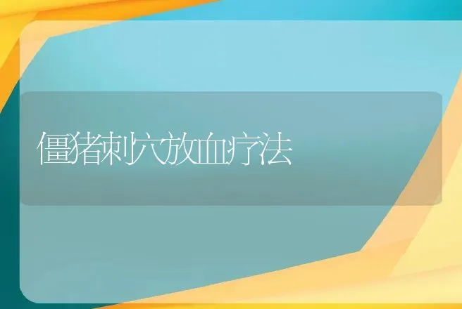 僵猪刺穴放血疗法 | 动物养殖