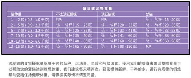 主人的错误习惯会让猫咪短命！严格按包装指引喂猫为啥不对？ | 宠物百科知识