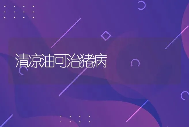 乳猪的管理要点 | 动物养殖