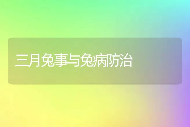 三月兔事与兔病防治 | 动物养殖