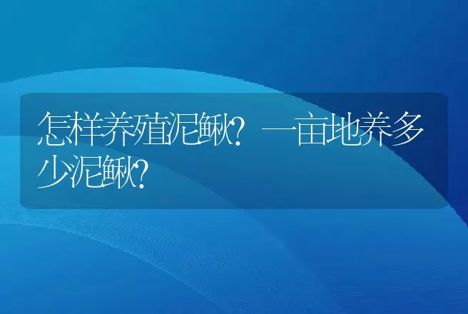 怎样养殖泥鳅？一亩地养多少泥鳅？ | 家禽养殖