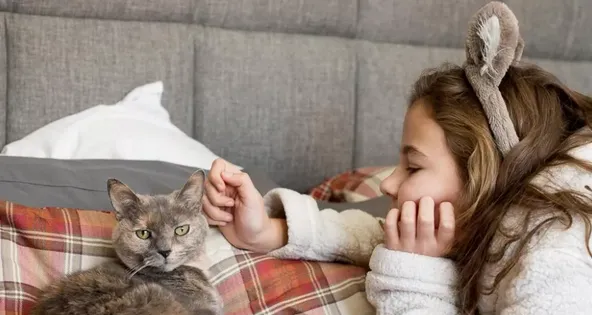 接受过“社会化训练”的猫咪更容易与人相处 | 宠物猫训练