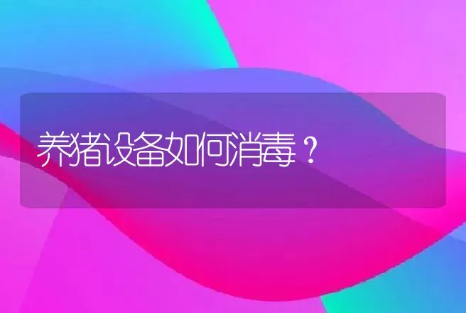 养猪设备如何消毒？ | 动物养殖