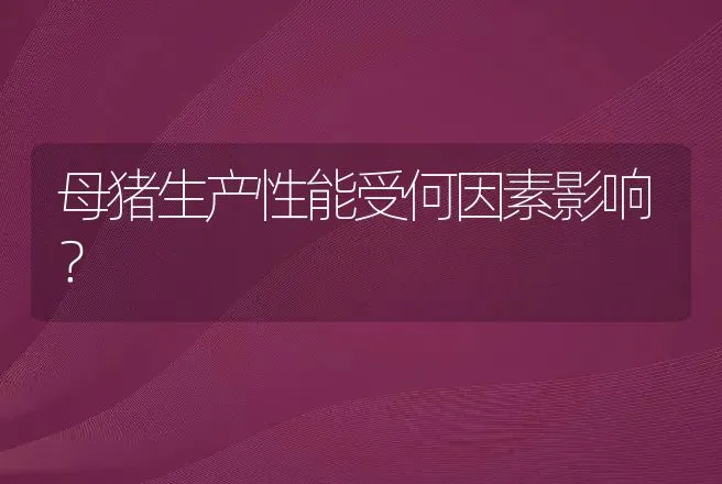 母猪生产性能受何因素影响？ | 动物养殖