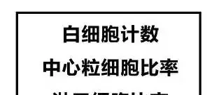 狗狗感冒为什么要做血常规？ | 宠物狗病虫害防治