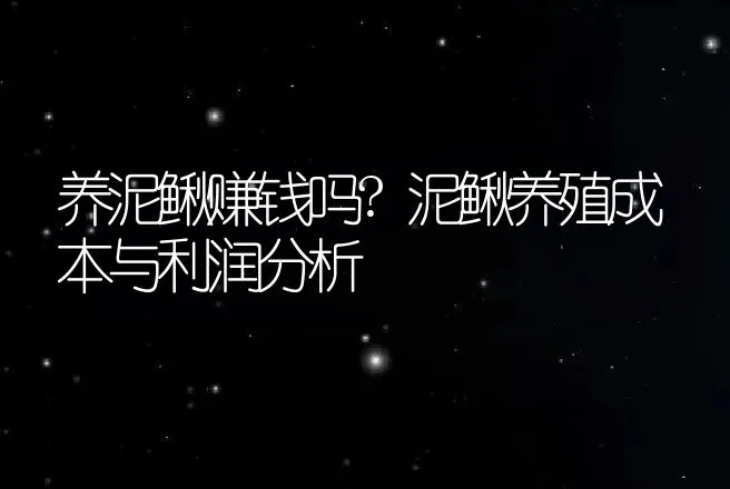 养泥鳅赚钱吗?泥鳅养殖成本与利润分析 | 家禽养殖