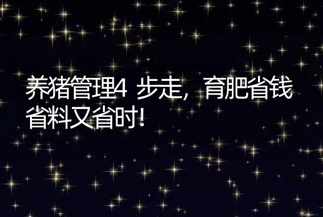 养猪管理4步走，育肥省钱省料又省时！ | 养殖致富