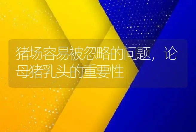 猪场容易被忽略的问题，论母猪乳头的重要性 | 动物养殖