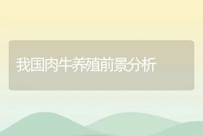 我国肉牛养殖前景分析 | 家畜养殖