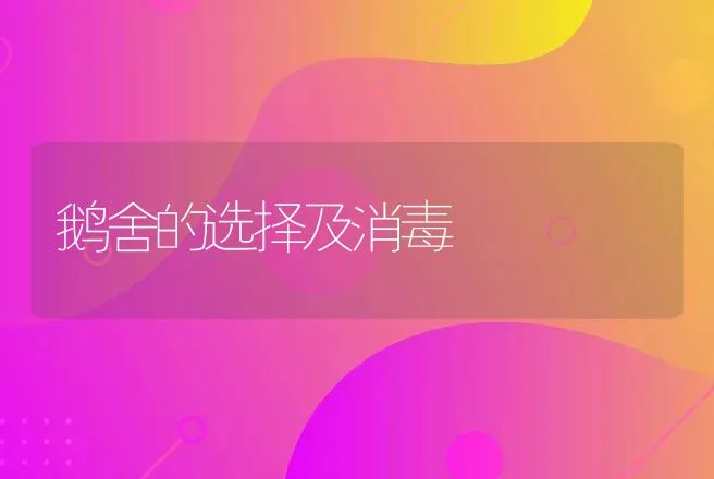 鹅舍的选择及消毒 | 动物养殖