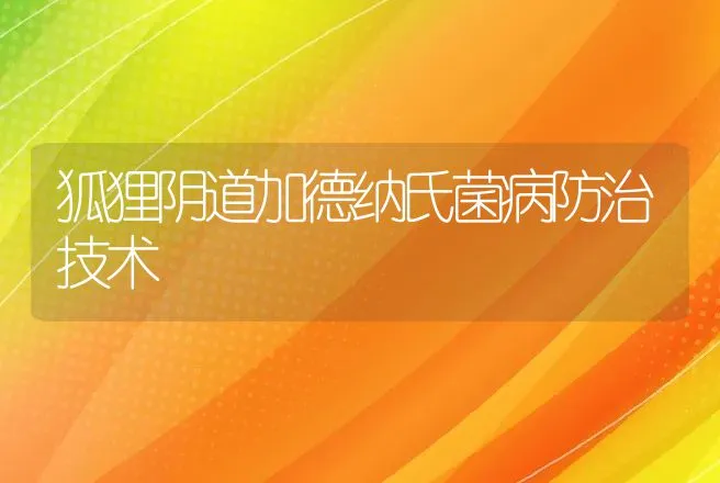 狐狸阴道加德纳氏菌病防治技术 | 动物养殖