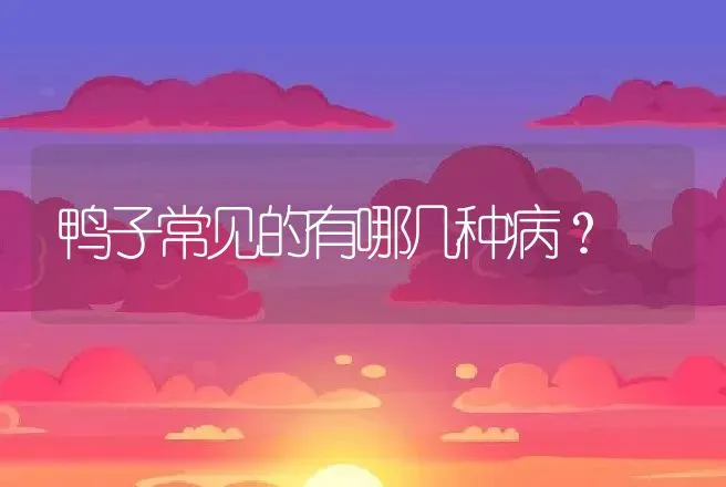 鸭子常见的有哪几种病？ | 兽医知识大全