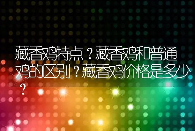 藏香鸡特点？藏香鸡和普通鸡的区别？藏香鸡价格是多少？ | 家禽养殖