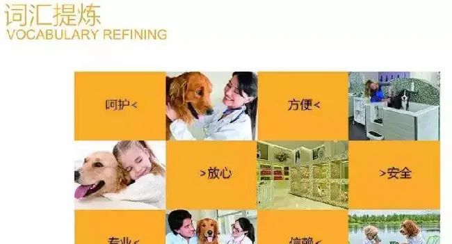 80%的宠物店从挂上门头Logo开始，就已经亏了 | 宠物行业洞察