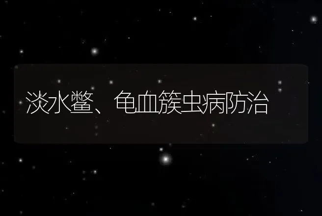 淡水鳖、龟血簇虫病防治 | 动物养殖