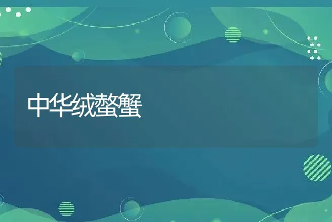 中华绒螫蟹 | 动物养殖