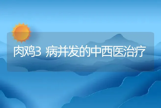 肉鸡3病并发的中西医治疗 | 动物养殖