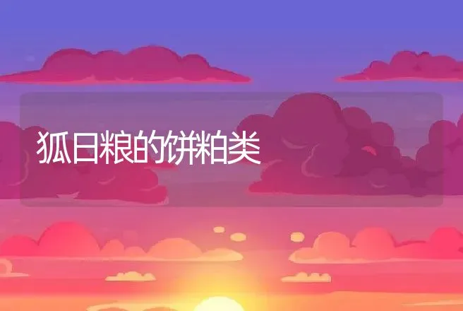 狐日粮的饼粕类 | 动物养殖