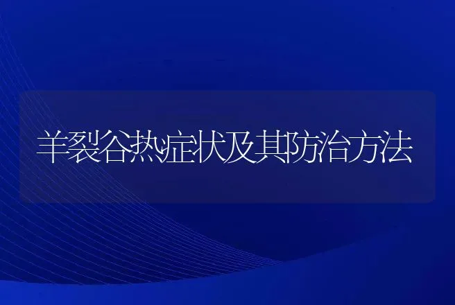 羊裂谷热症状及其防治方法 | 动物养殖