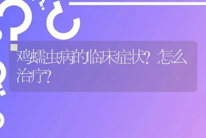 鸡蠕虫病的临床症状？怎么治疗？ | 兽医知识大全