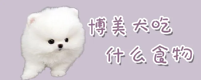 博美犬吃什么食物 | 宠物病虫害防治