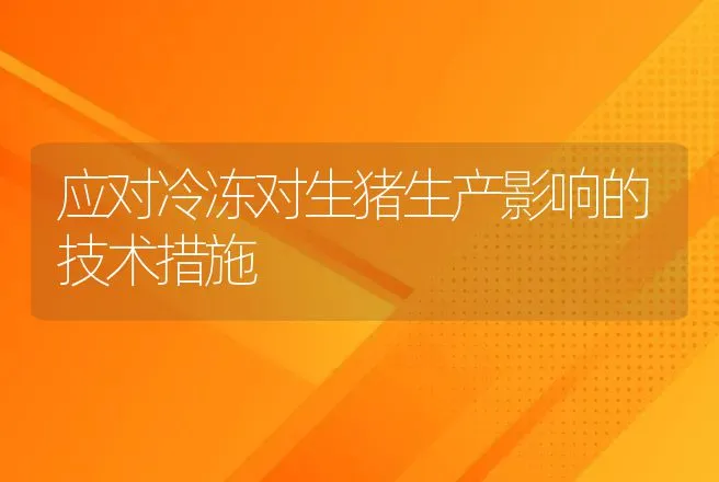 蜜蜂副伤寒防治口诀 | 动物养殖