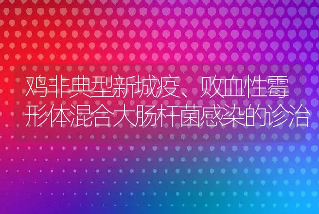 鸡非典型新城疫、败血性霉形体混合大肠杆菌感染的诊治 | 动物养殖