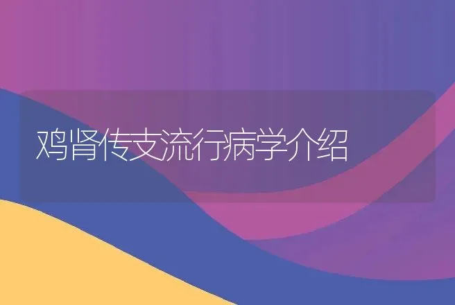 鸡肾传支流行病学介绍 | 兽医知识大全