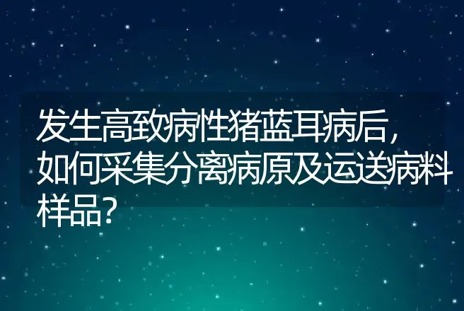 发生高致病性猪蓝耳病后，如何采集分离病原及运送病料样品？ | 动物养殖