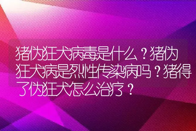 猪伪狂犬病毒是什么？猪伪狂犬病是烈性传染病吗？猪得了伪狂犬怎么治疗？ | 兽医知识大全