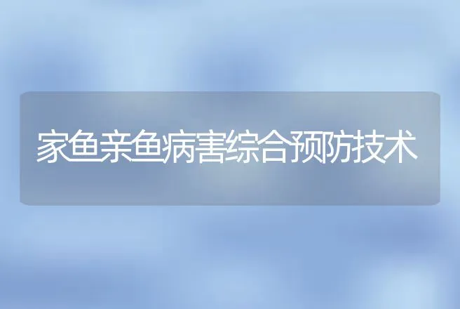 家鱼亲鱼病害综合预防技术 | 动物养殖