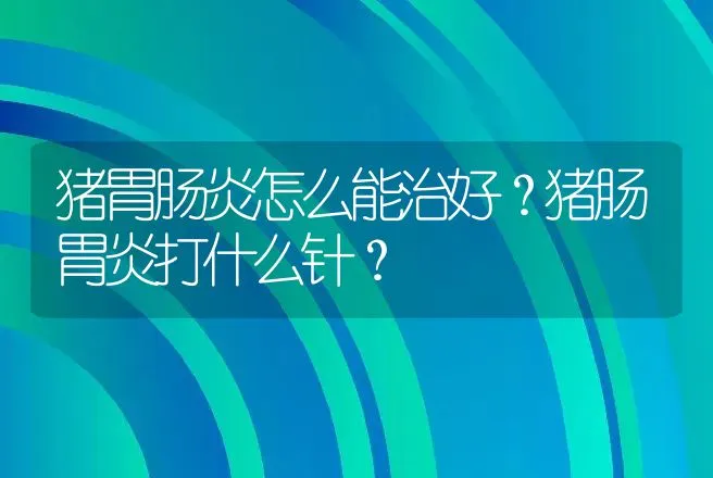 猪胃肠炎怎么能治好？猪肠胃炎打什么针？ | 兽医知识大全