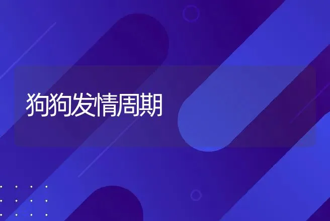 狗狗发情周期 | 动物养殖