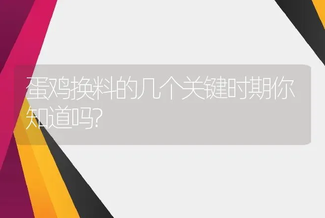 蛋鸡换料的几个关键时期你知道吗? | 家禽养殖