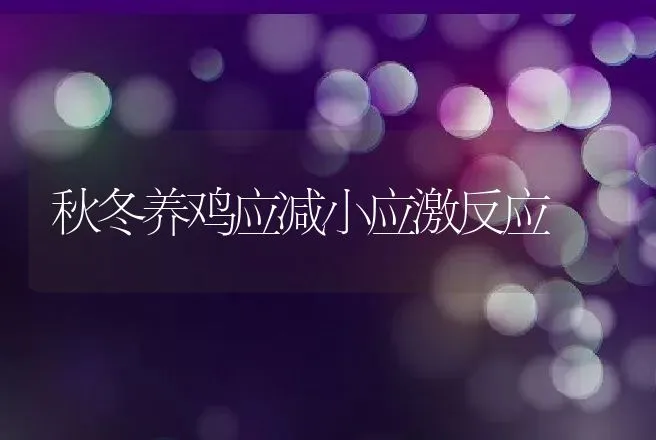 刚买的波尔山羊为啥死 | 动物养殖