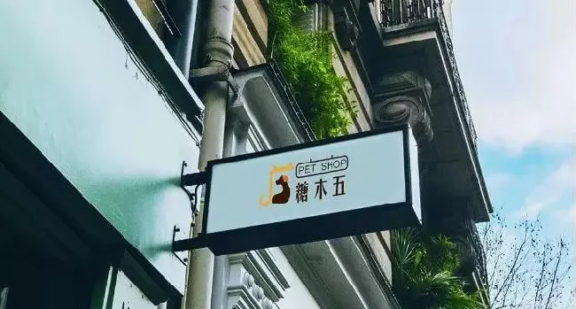 80%的宠物店从挂上门头Logo开始，就已经亏了 | 宠物行业洞察