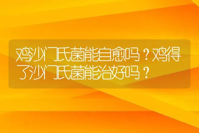 鸡沙门氏菌能自愈吗？鸡得了沙门氏菌能治好吗？ | 兽医知识大全